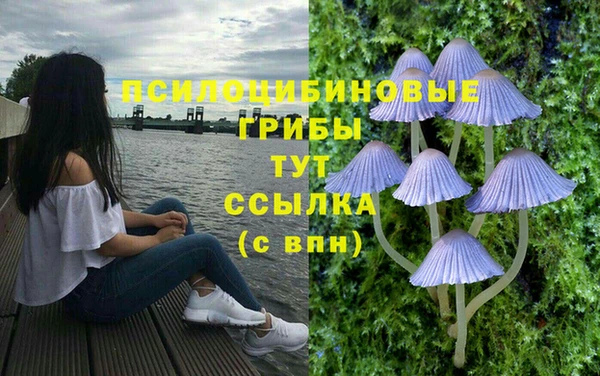 2c-b Осинники