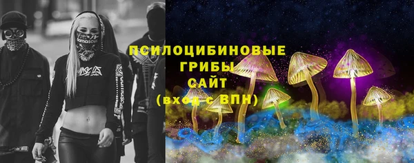 2c-b Осинники