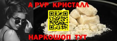 стафф Гатчина