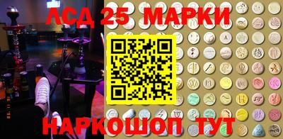 стафф Гатчина