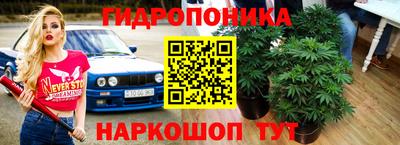 каннабис Гай