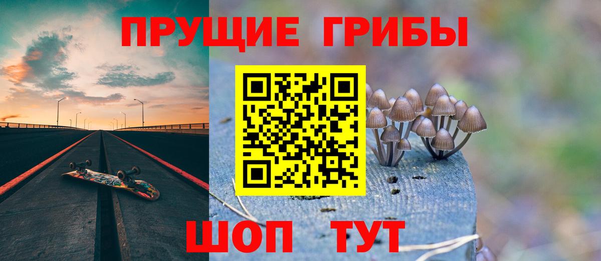 Галлюциногенные грибы прущие грибы  Вход с VPN  Лыткарино  Галлюциногенные грибы мицелий 